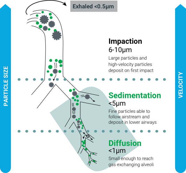 Softmist